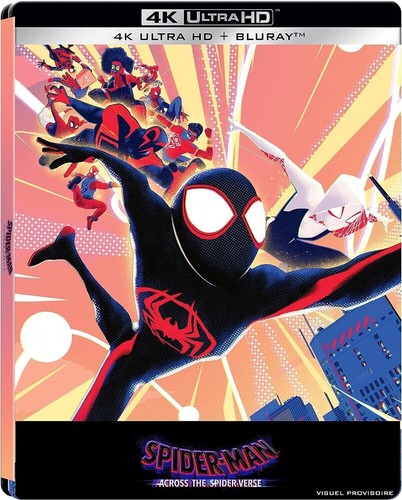 Spider man across - spider, :