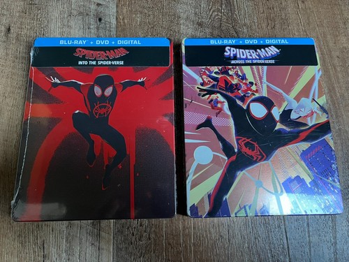 Spider man into across the - into, &